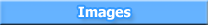 Webmus Image Search: Search Images