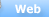 Web Search
